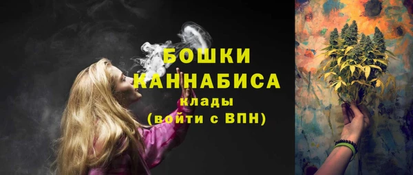 spice Пестово