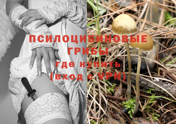 синтетический гашиш Переславль-Залесский