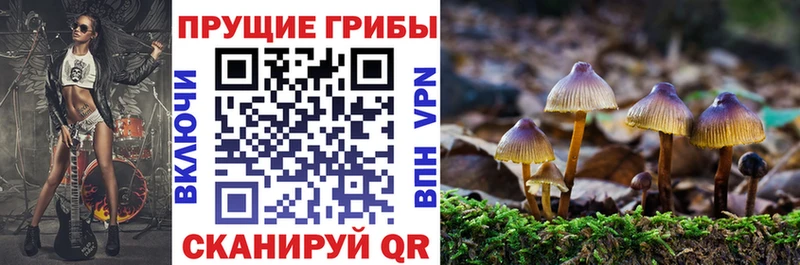 Псилоцибиновые грибы ЛСД  как найти закладки  Касли 