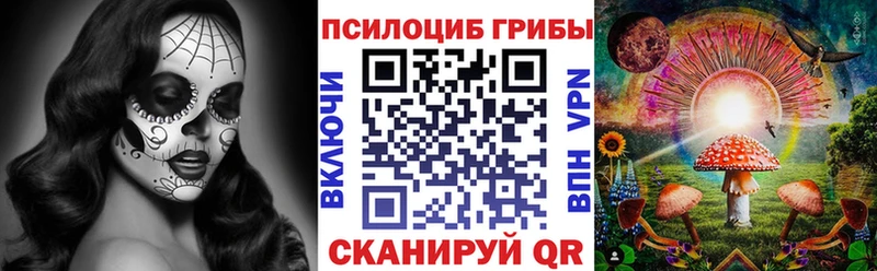 Галлюциногенные грибы Psilocybe Касли